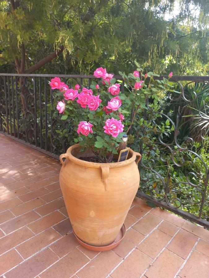 Chambre Dans Villa Charmant Jardin Montpellier Exterior foto